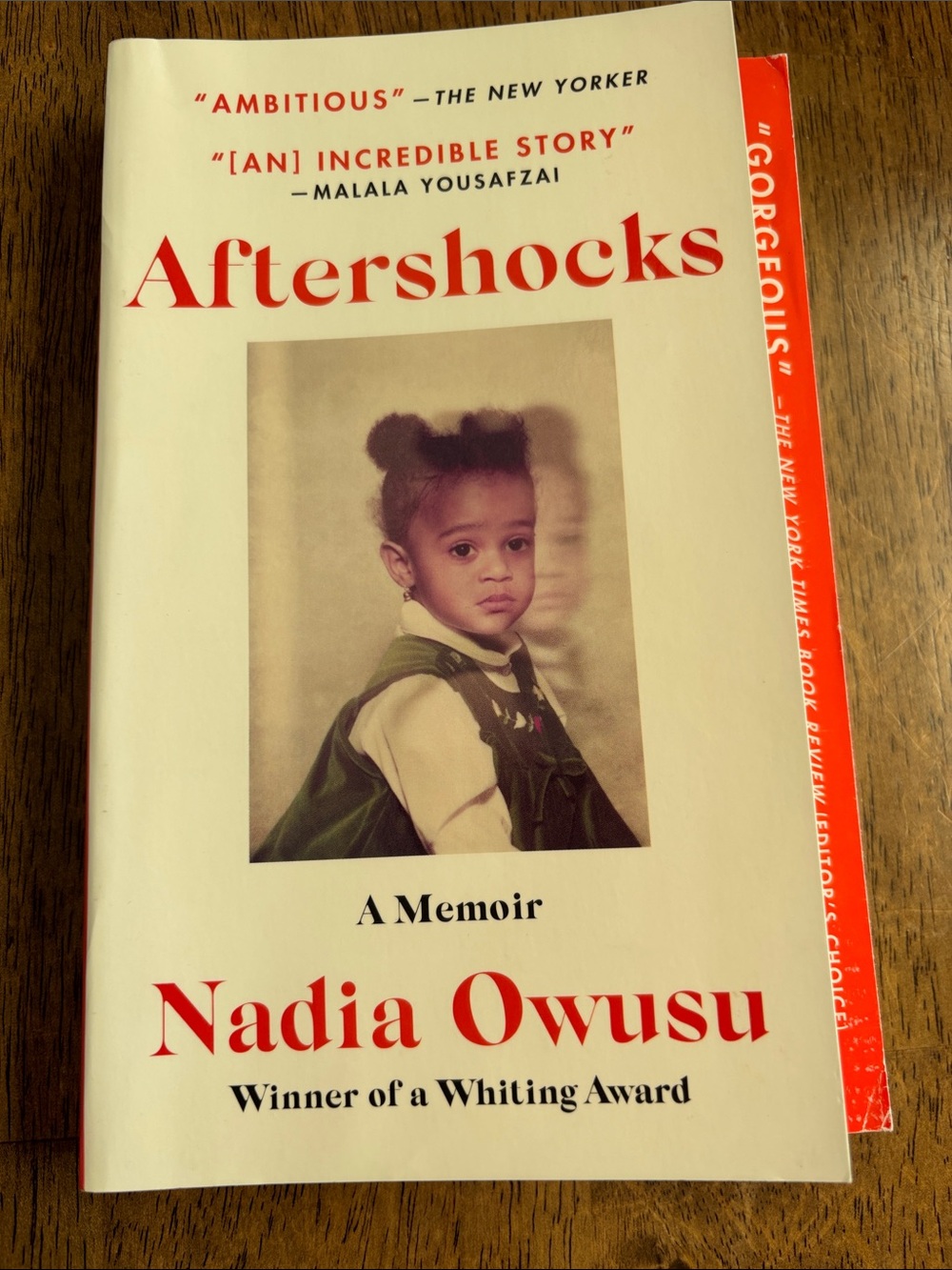 Aftershocks by Nadia Owusu - paperback, read once gently